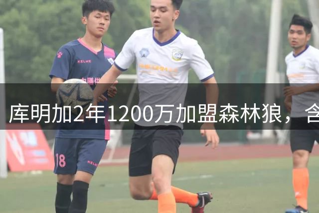库明加2年1200万加盟森林狼，含球员选项