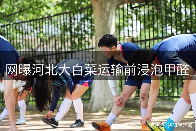网曝河北大白菜运输前浸泡甲醛 监管部门介入核查